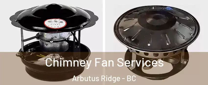  Chimney Fan Services Arbutus Ridge - BC