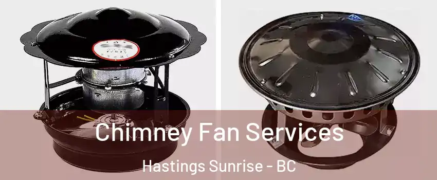  Chimney Fan Services Hastings Sunrise - BC