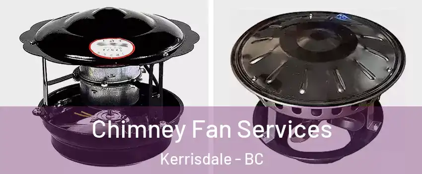  Chimney Fan Services Kerrisdale - BC