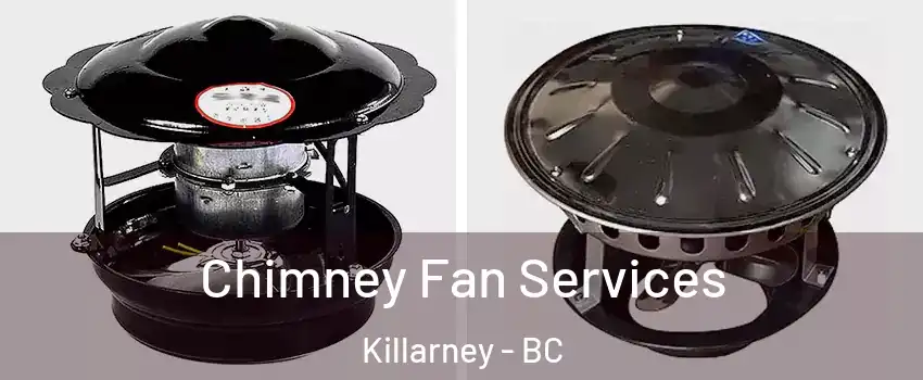  Chimney Fan Services Killarney - BC
