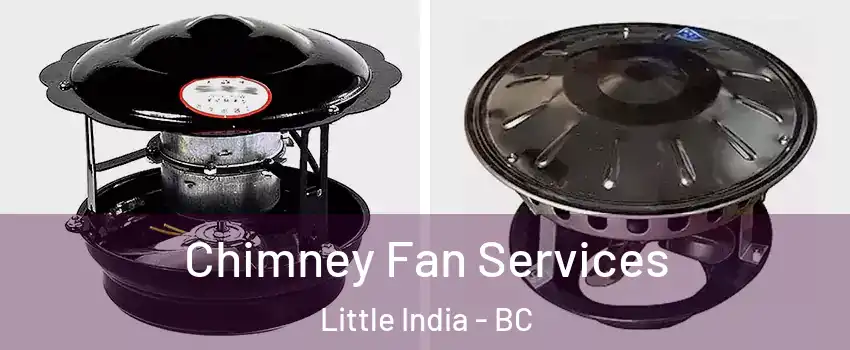  Chimney Fan Services Little India - BC