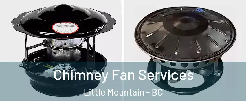  Chimney Fan Services Little Mountain - BC