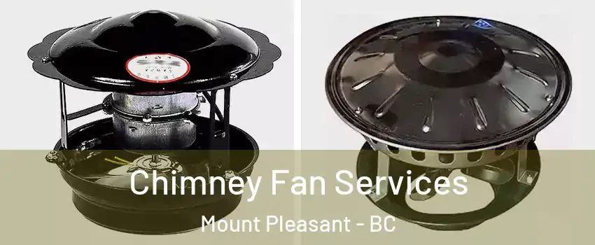  Chimney Fan Services Mount Pleasant - BC