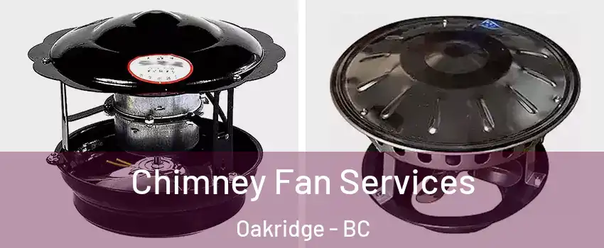  Chimney Fan Services Oakridge - BC