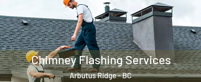 Chimney Flashing Services Arbutus Ridge - BC