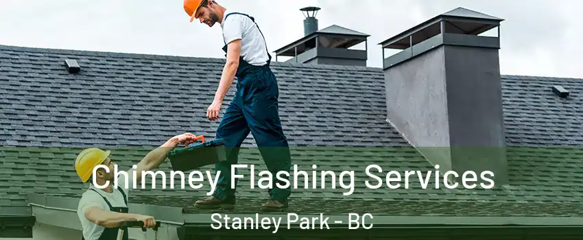 Chimney Flashing Services Stanley Park - BC