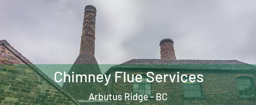  Chimney Flue Services Arbutus Ridge - BC