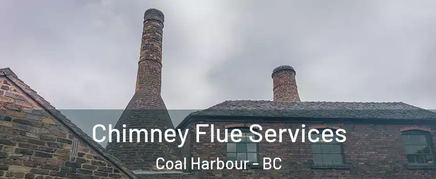  Chimney Flue Services Coal Harbour - BC
