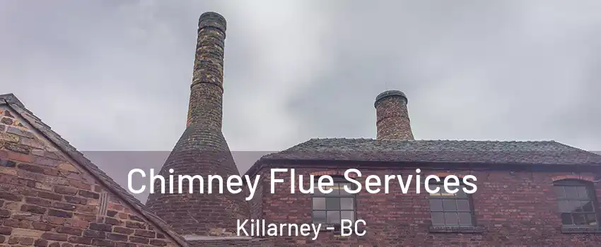  Chimney Flue Services Killarney - BC