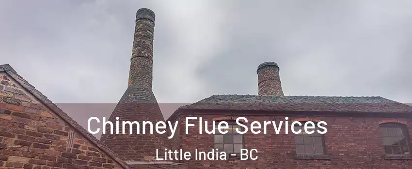  Chimney Flue Services Little India - BC