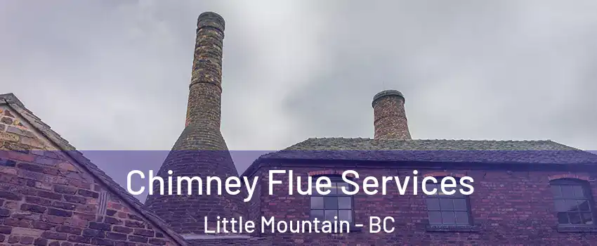 Chimney Flue Services Little Mountain - BC