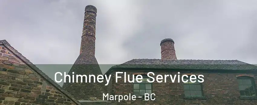  Chimney Flue Services Marpole - BC