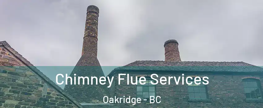  Chimney Flue Services Oakridge - BC