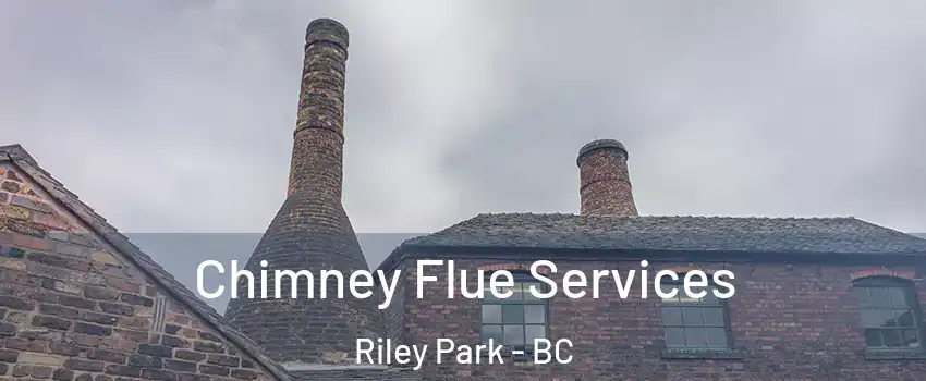  Chimney Flue Services Riley Park - BC