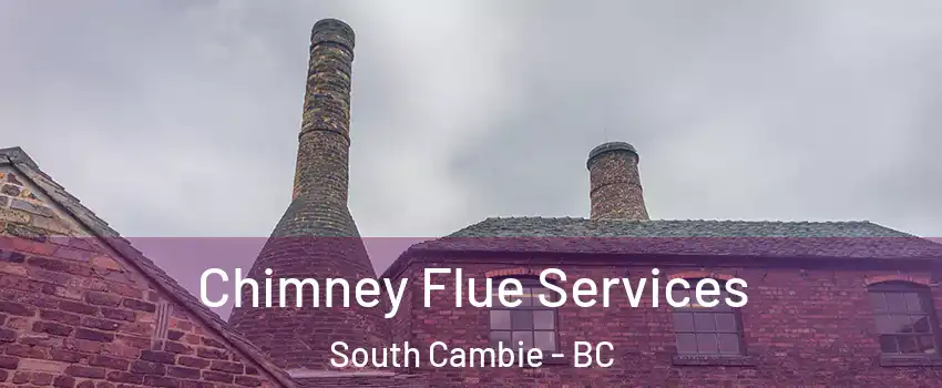  Chimney Flue Services South Cambie - BC