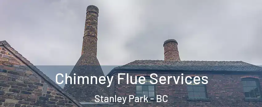  Chimney Flue Services Stanley Park - BC