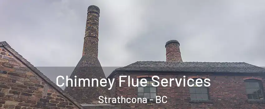  Chimney Flue Services Strathcona - BC