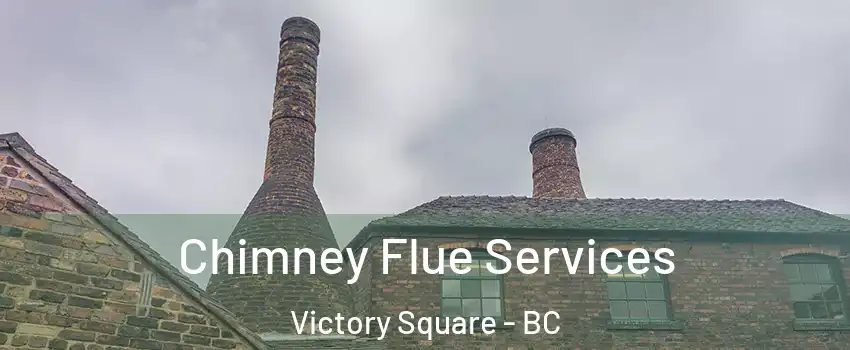  Chimney Flue Services Victory Square - BC