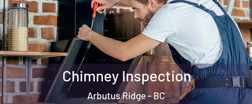  Chimney Inspection Arbutus Ridge - BC