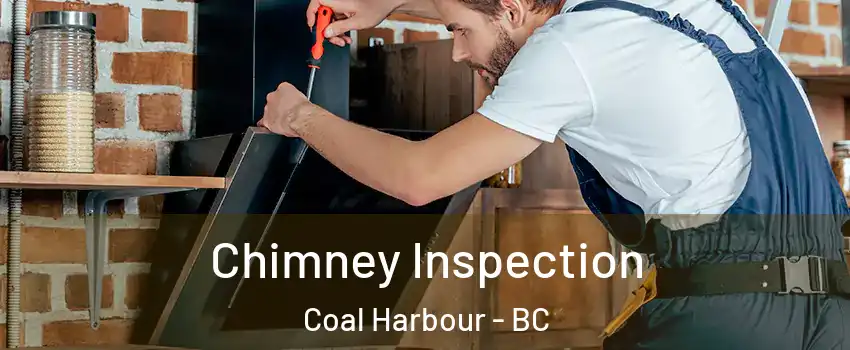  Chimney Inspection Coal Harbour - BC