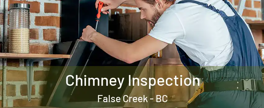  Chimney Inspection False Creek - BC
