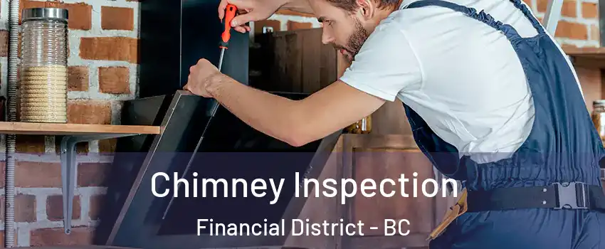  Chimney Inspection Financial District - BC