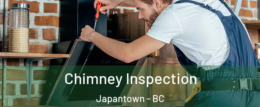  Chimney Inspection Japantown - BC