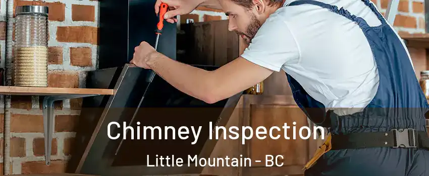  Chimney Inspection Little Mountain - BC