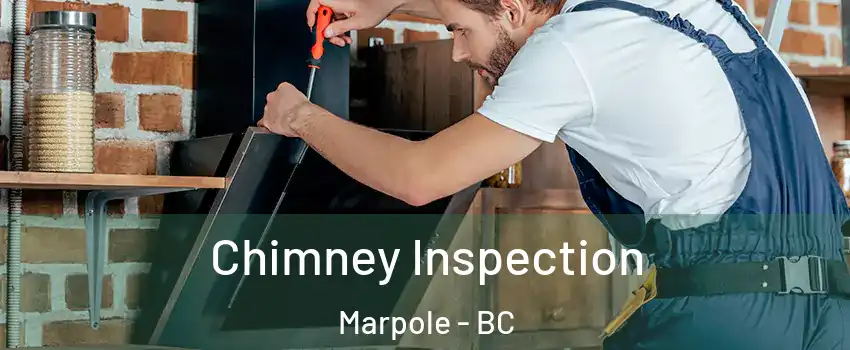  Chimney Inspection Marpole - BC