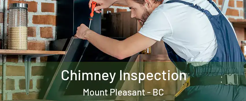  Chimney Inspection Mount Pleasant - BC