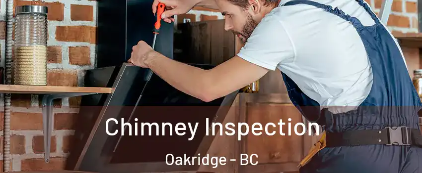  Chimney Inspection Oakridge - BC