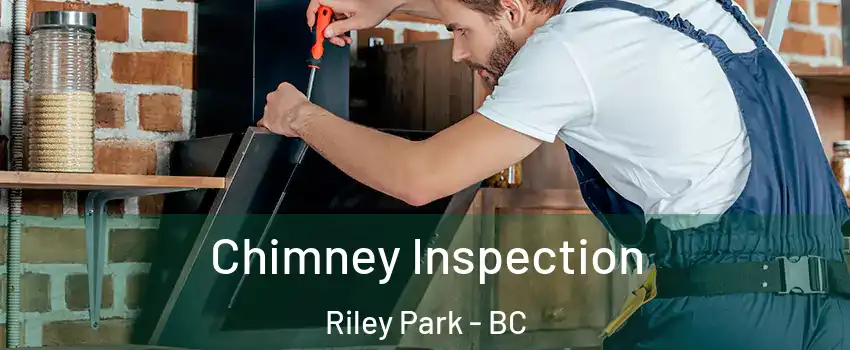  Chimney Inspection Riley Park - BC