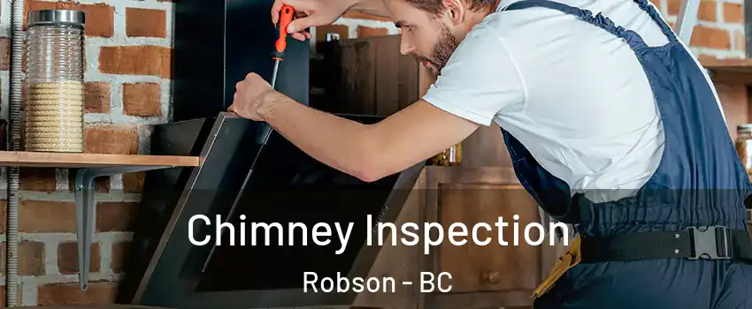  Chimney Inspection Robson - BC