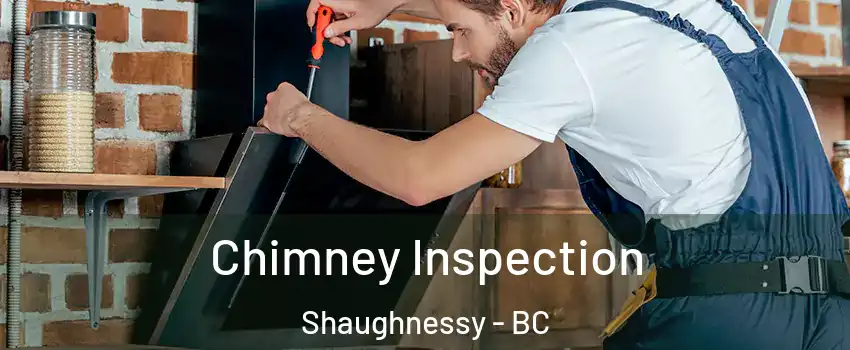  Chimney Inspection Shaughnessy - BC