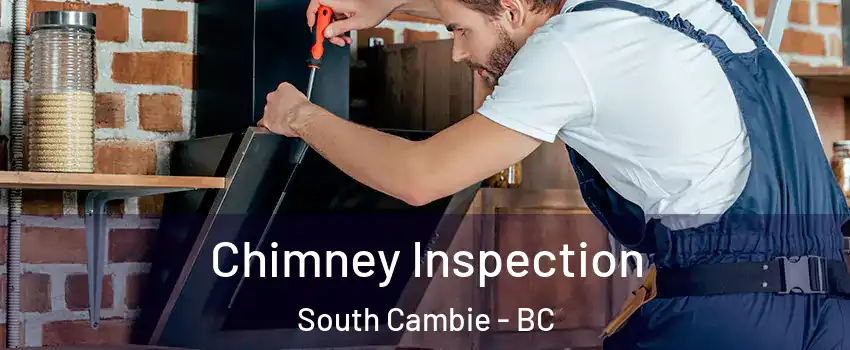  Chimney Inspection South Cambie - BC
