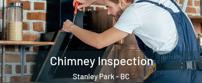  Chimney Inspection Stanley Park - BC