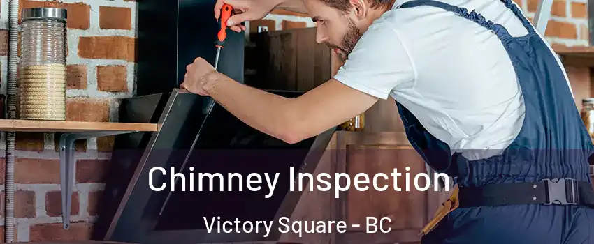  Chimney Inspection Victory Square - BC