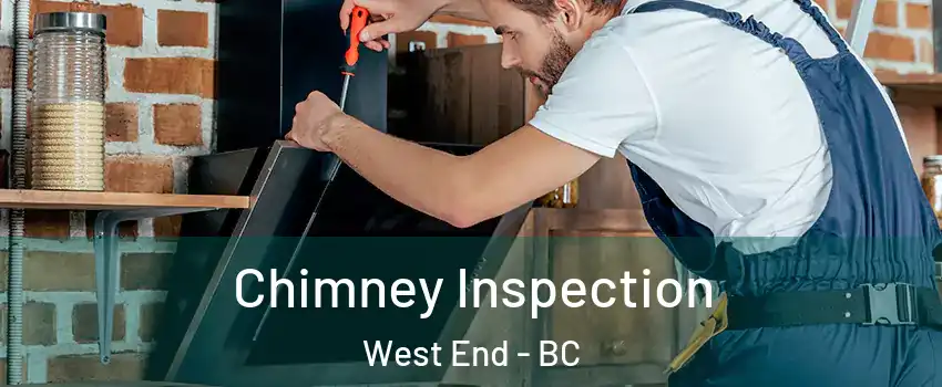  Chimney Inspection West End - BC