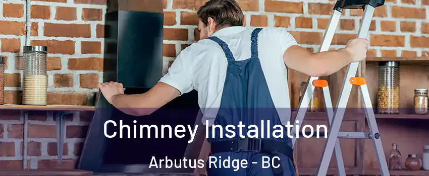  Chimney Installation Arbutus Ridge - BC