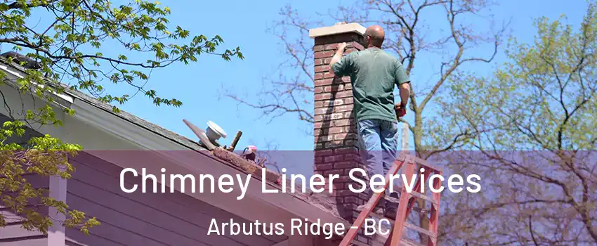  Chimney Liner Services Arbutus Ridge - BC