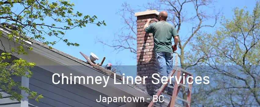  Chimney Liner Services Japantown - BC
