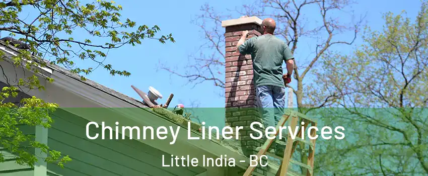  Chimney Liner Services Little India - BC