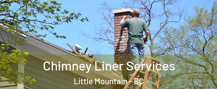  Chimney Liner Services Little Mountain - BC