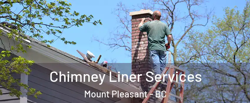  Chimney Liner Services Mount Pleasant - BC