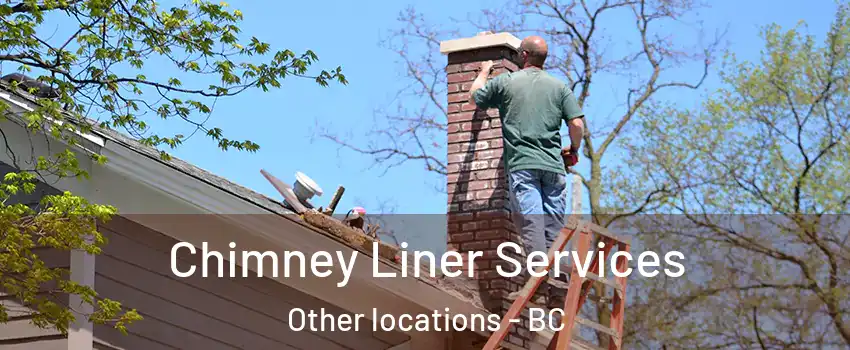  Chimney Liner Services Other locations - BC