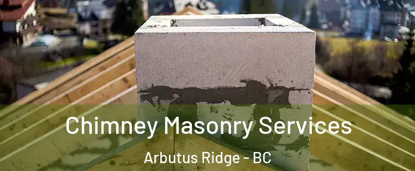  Chimney Masonry Services Arbutus Ridge - BC
