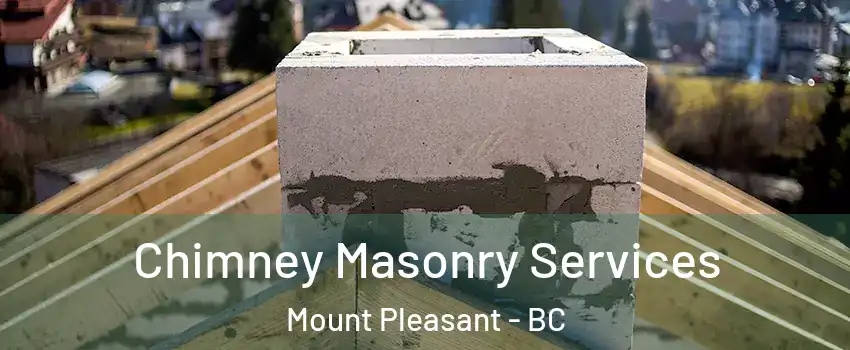  Chimney Masonry Services Mount Pleasant - BC