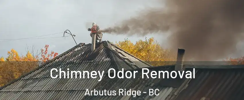  Chimney Odor Removal Arbutus Ridge - BC