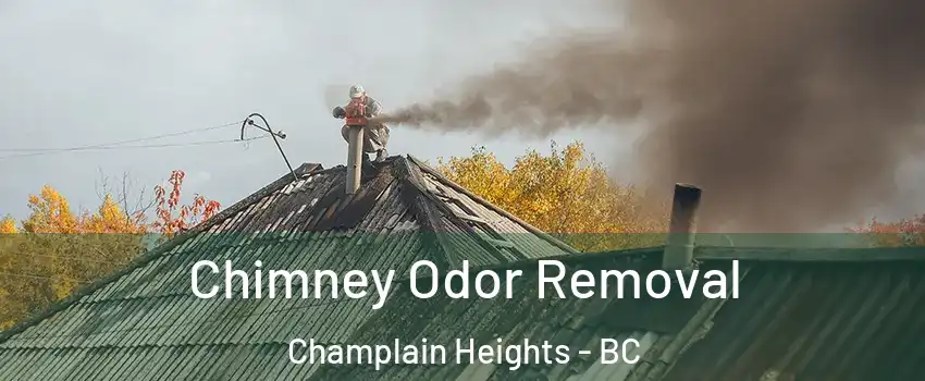  Chimney Odor Removal Champlain Heights - BC