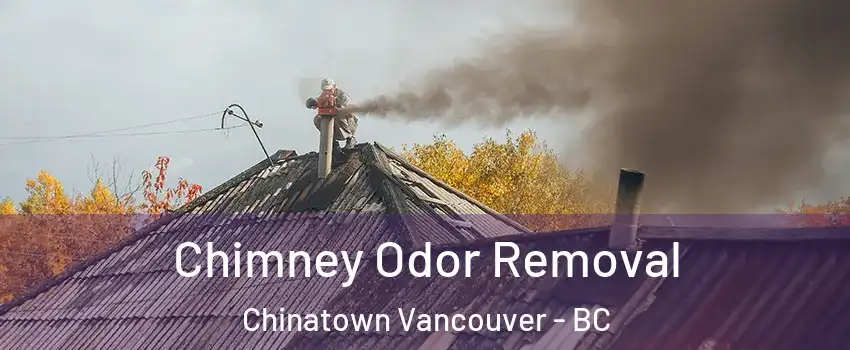  Chimney Odor Removal Chinatown Vancouver - BC